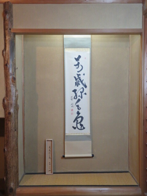 （睦月）紫野芳春院 秋吉則州筆「萬歳緑毛亀」一行軸 【税込・送料込】【中古・超美品】